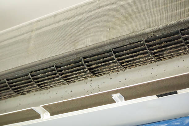 Best HVAC Air Duct Cleaning  in Lac Du Flambeau, WI